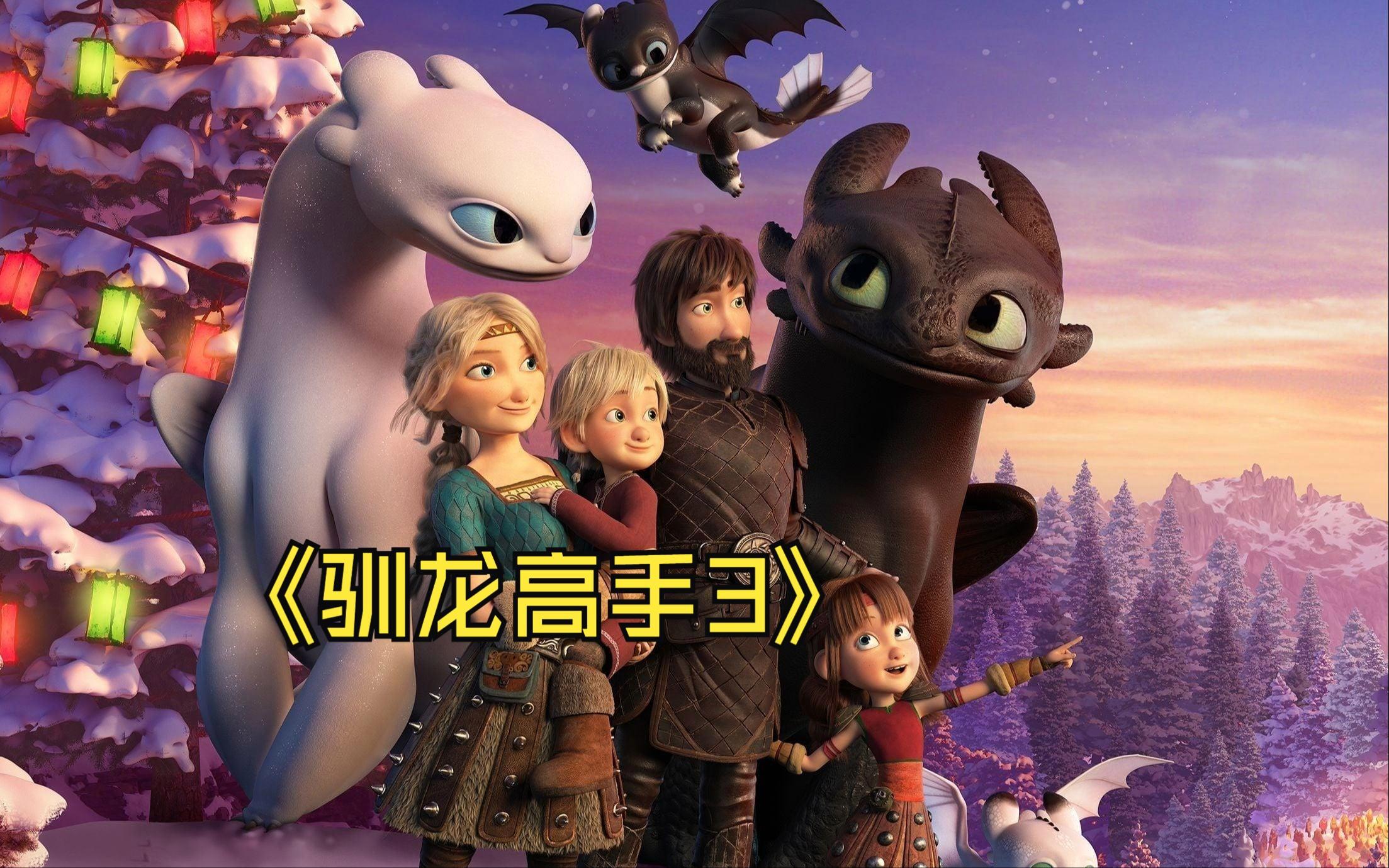 3D电影 驯龙高手3